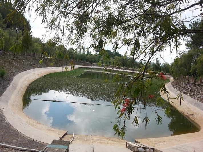 Hồ Tĩnh Tâm nằm trong khuôn viên chùa. 