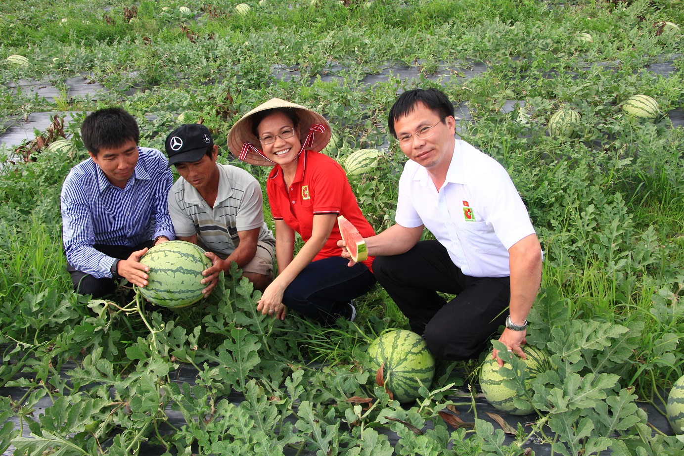 Siêu thị chung tay vì dưa hấu Quảng Ngãi