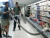 Khách hàng vào siêu thị mua sữa chua được khuyến mãi con trăn