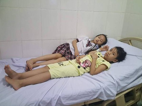 Ăn quả ngô đồng, 9 học sinh nhập viện