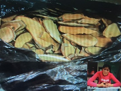 Hô biến củi khô thành thần dược chữa ung thư