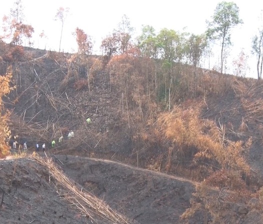 Khởi tố 6 đối tượng phá trắng, đốt trụi 46 ha rừng