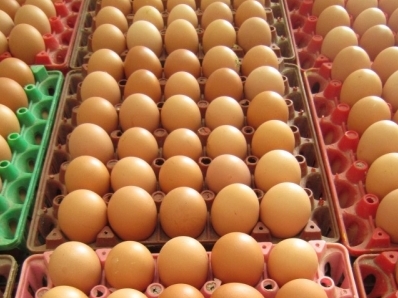 Nắng nóng, giá trứng tăng liên tục