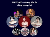 Thông tin bỏ túi về Lễ hội pháo hoa quốc tế DIFF 2017