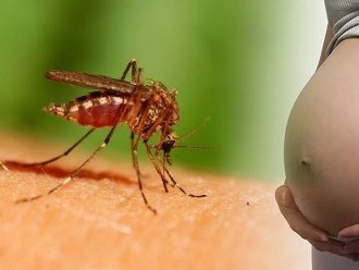 Dịch Zika tràn ra toàn thành, 51 thai phụ nhiễm bệnh