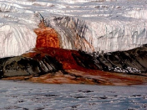 Giải mã bí ẩn về Thác Máu tại Nam Cực sau hàng trăm năm