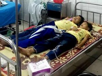 Ăn quả thầu dầu, 5 học sinh bị ngộ độc