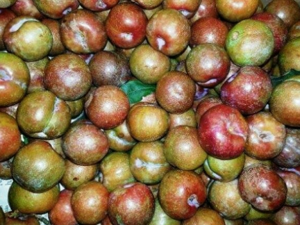 Mận Bắc vào Nam tăng giá gấp ba