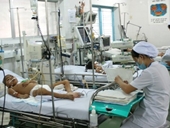 TPHCM Hơn 7 700 ca sốt xuất huyết và tay chân miệng