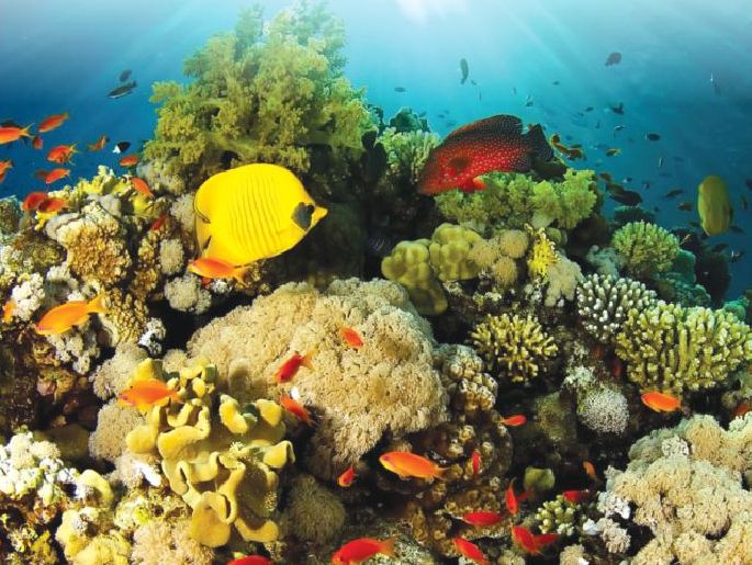 Xác định ưu tiên quốc gia về bảo tồn đa dạng sinh học