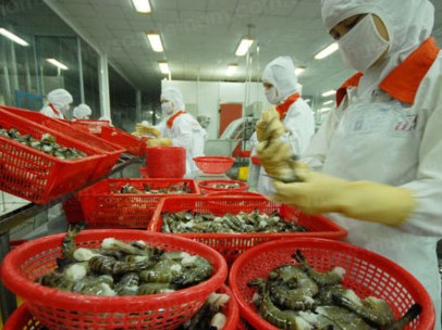 Thị trường xuất khẩu nông sản Khó khăn chưa giảm