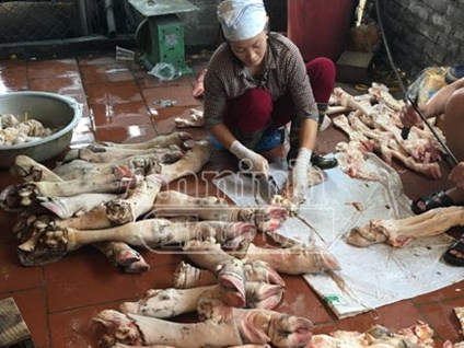 Chặn hơn 1,1 tấn vó bò hôi thối chuẩn bị tung ra thị trường