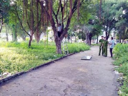 TP HCM Phát hiện người treo cổ trên cây trong công viên