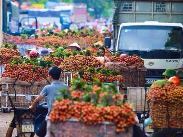 Bàn về chính sách mở cửa Bảo đảm lợi ích cao nhất của quốc gia