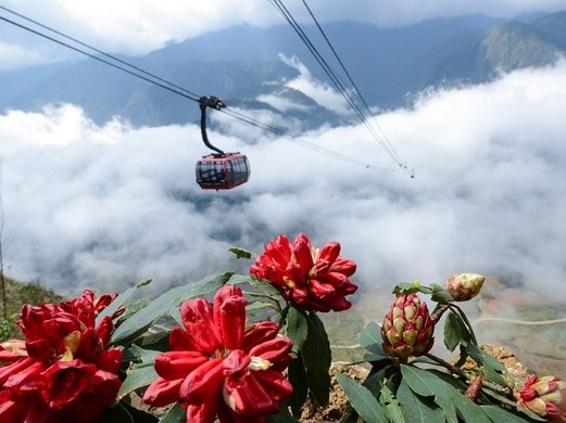 Điểm trốn nóng ngắm hoa tuyệt nhất miền Tây Bắc