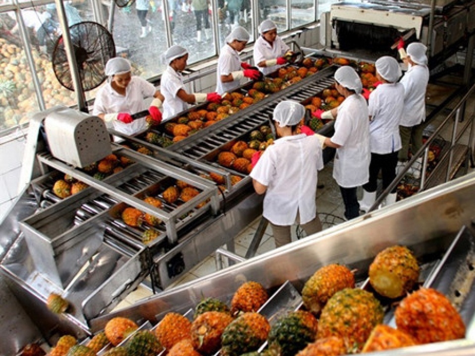 Giải pháp để nông nghiệp Việt chống lại những cú sốc thị trường