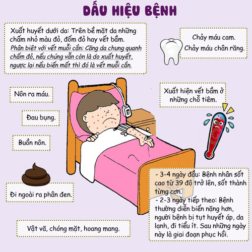 Dấu hiệu bệnh sốt xuất huyết thường gặp. Nếu bạn hoặc người thân trong gia đình mắc phải một vài trong số các triệu chứng này, hãy đến với các trung tâm y tế hoặc bệnh viện để được điều trị kịp thời. Nguồn: Internet. 