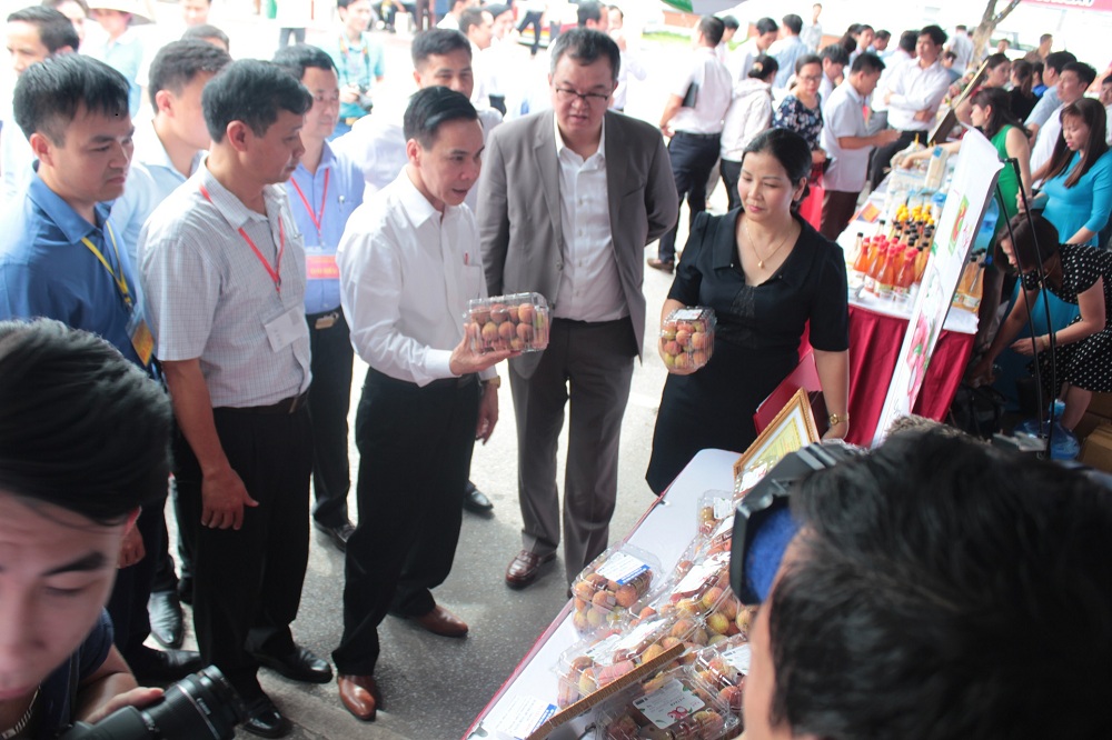 Big C cung cấp vải thiều Lục Ngạn cho người tiêu dùng cả nước