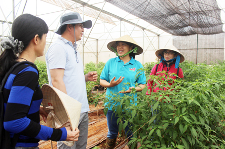 Đầu tư nông nghiệp công nghệ cao chờ ngày khởi sắc