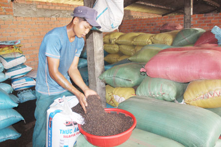 Ôm nợ vì trữ tiêu