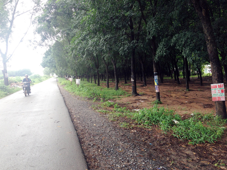 Dân ngóng quy định mới về tách thửa