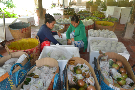 Sau giải cứu bí đỏ, sẽ đến sản phẩm nào