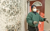 Bạn có biết giấy dán tường có thể chứa hàng ngàn loại nấm mốc độc hại