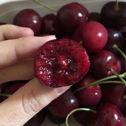 Cherry vỏ màu đỏ sẫm thường có hạt nhỏ, cùi rất dày, vị ngọt thơm... Ảnh: FB