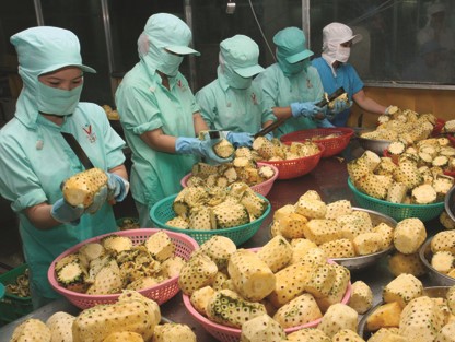 Xuất khẩu rau quả bứt phá