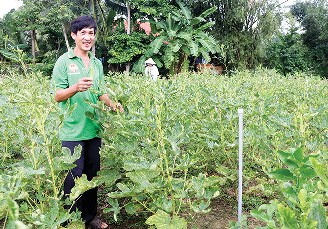 Khi nông dân làm du lịch