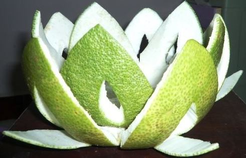 Hạ mỡ máu bằng vỏ bưởi