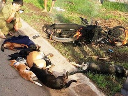 Người dân thấy 2 thanh niên bắt trộm chó nên đuổi đánh, đốt xe