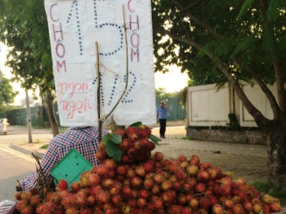 Độc chiêu kinh doanh hoa quả vỉa hè