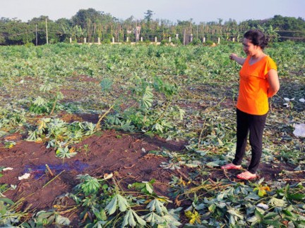 Khởi tố vụ án bắn chết nữ sinh lớp 11 rồi tự sát