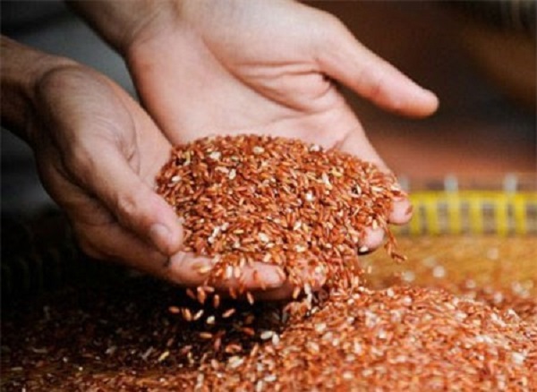 Sự thật chỉ ăn gạo lứt muối mè sẽ khỏi ung thư
