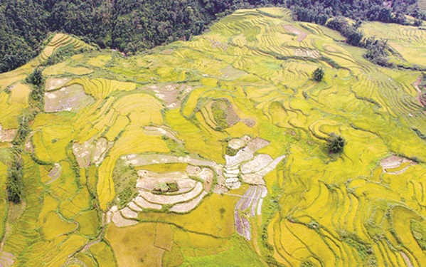 Quyến rũ ruộng bậc thang Sa Pa