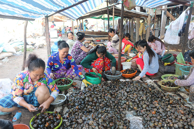 Xóm ốc ở Vĩnh Hội Đông