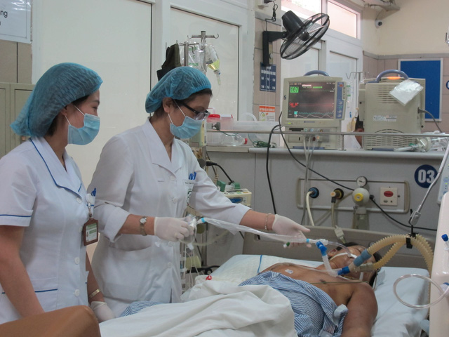 Giẫm vào tổ ong vò vẽ, người đàn ông bị đốt 239 nốt nguy kịch