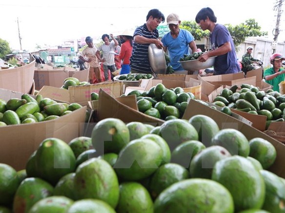 Cơ hội đột phá thị trường Nga cho hàng nông sản Việt Nam