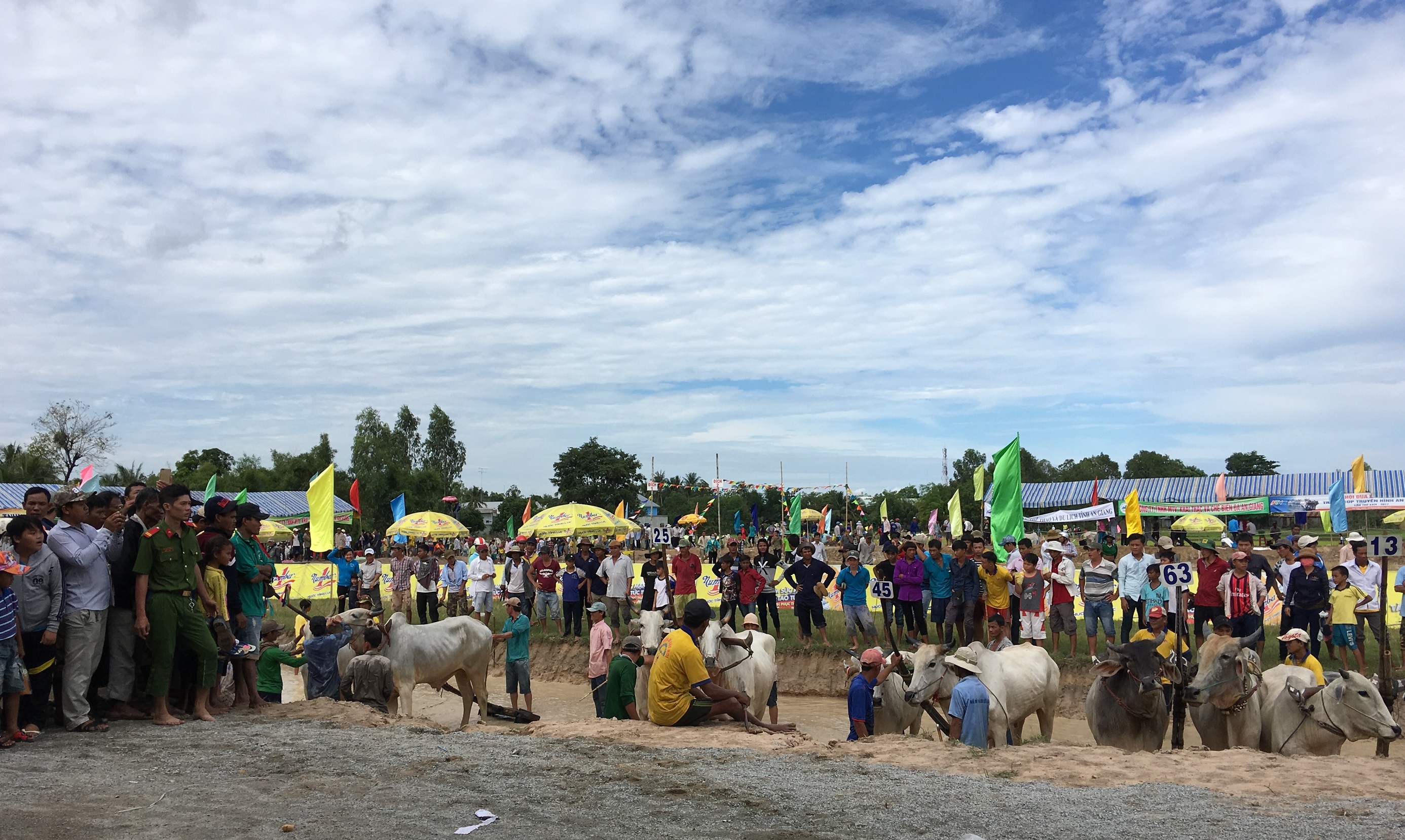 Mỗi năm lễ hội đua bò Bảy Núi - An Giang thu hút hàng nghìn người đến xem và cổ vũ